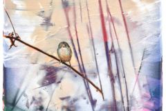 2021_A.Damp_Milchbube_30x24