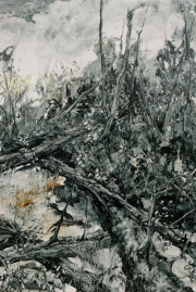 Arny Schmit "Maikaaeferflieg  18"  75 x 50 x 5 cm Öl auf Papier gerahmt 2021