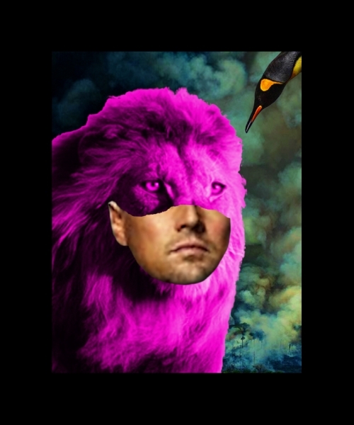 Kathrin Günter „A King Penguin Surveys Its Breakfast“  90 x 75 cm  fine art print auf Aluminium 2020