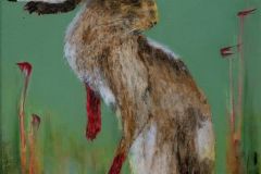 Hare No 2 30 x 24 cm, Bleistift und Öl auf Leinwand 2026