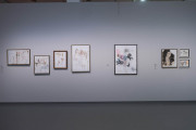Peter Doherty Ausstellung -Beyond Fame- im NRW Forum Düsseldorf