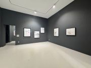 Peter Doherty  -Felt Better Alive-