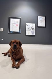 Peter Doherty  -Felt Better Alive-