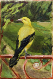 Petra Rintelen PIROL 36 x 24 cm Öl auf Leinwand / oil on canvas 2024