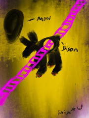 Till Franzen -Bison Smile- Fine Art Print auf Hahnemühle Wiliam Turner 40 x 53 cm 2024Edition von 7